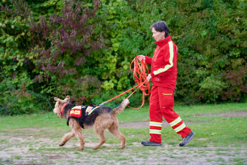 Symbolbild: Hundeführerin Uschi mit Hündin Hadija bei einer Übung